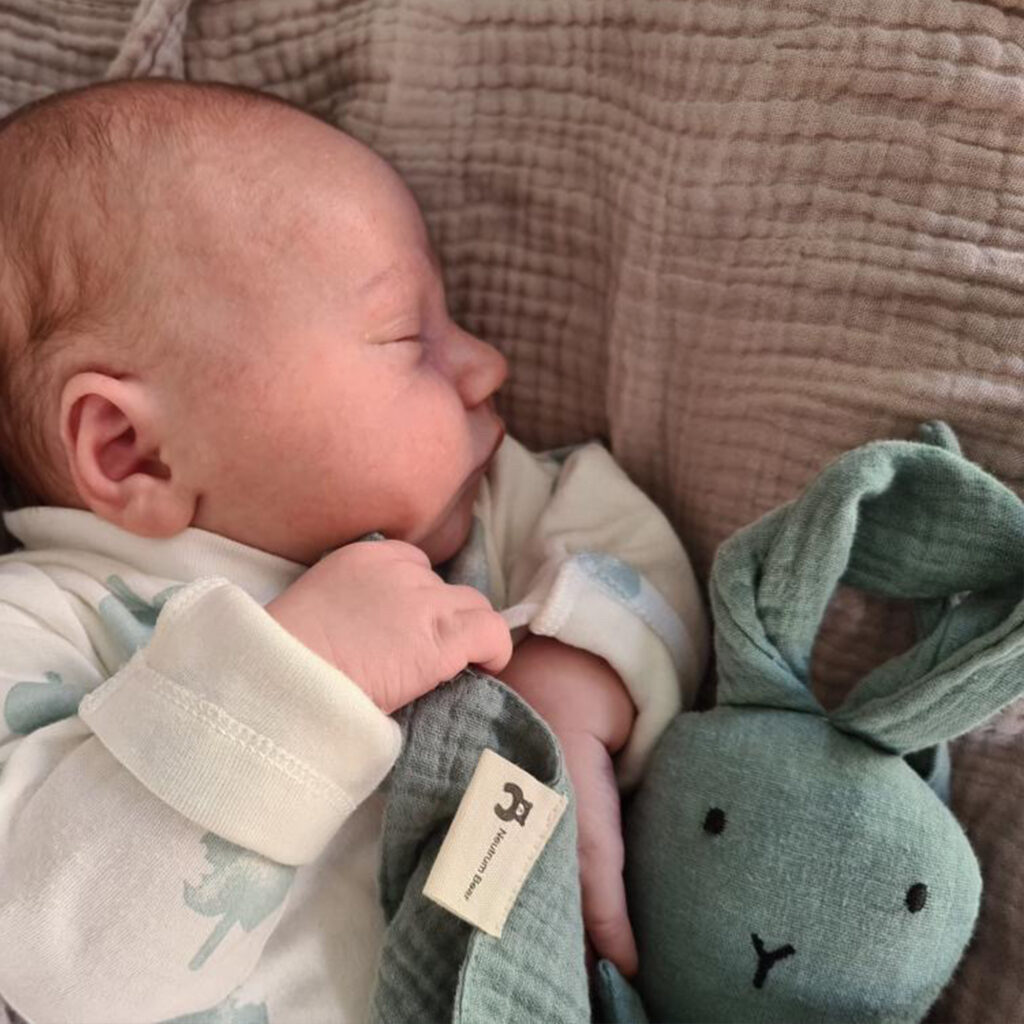 Sage Comforter Bunny