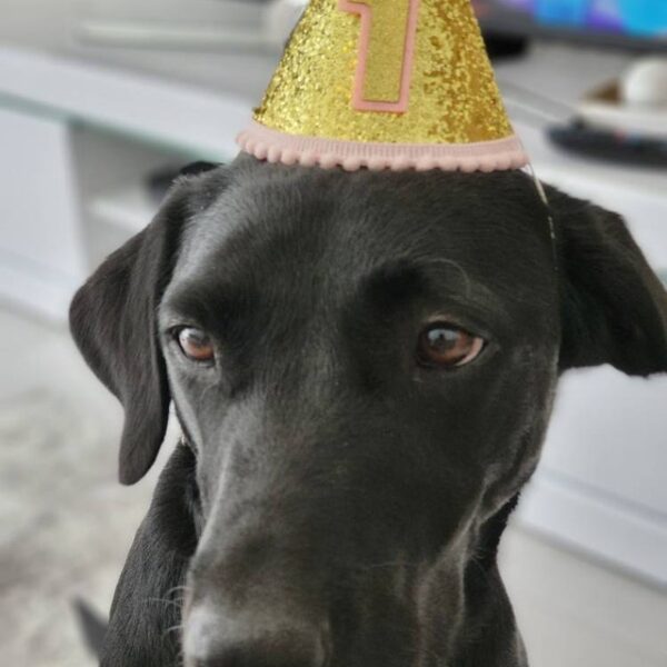 iap_640x640.4131407949_7sxurzw6