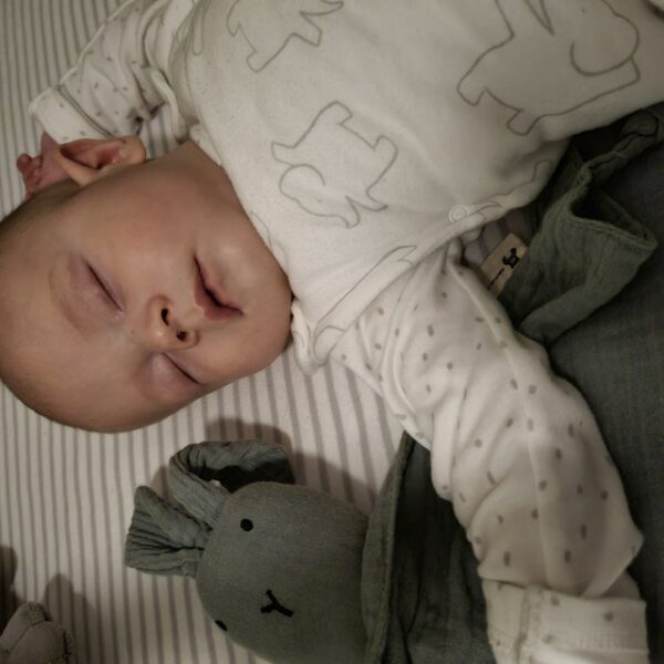 iap_640x640.4212487827_53zfqup3